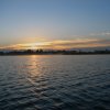IMG_0589